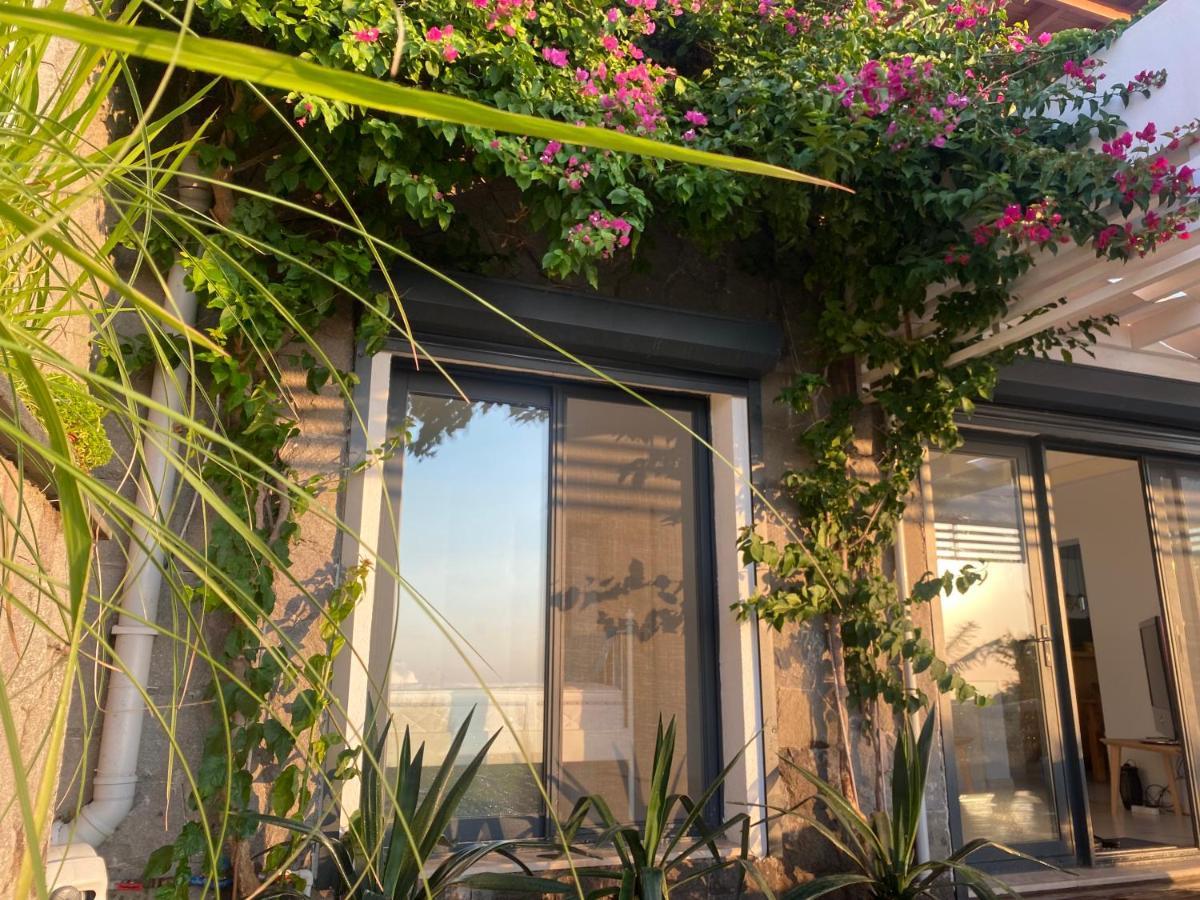 Kiralık Müstakil Havuzlu Lüx Villa Bodrum